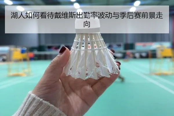 湖人如何看待戴维斯出勤率波动与季后赛前景走向